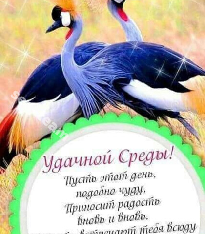 Проститутка Карина